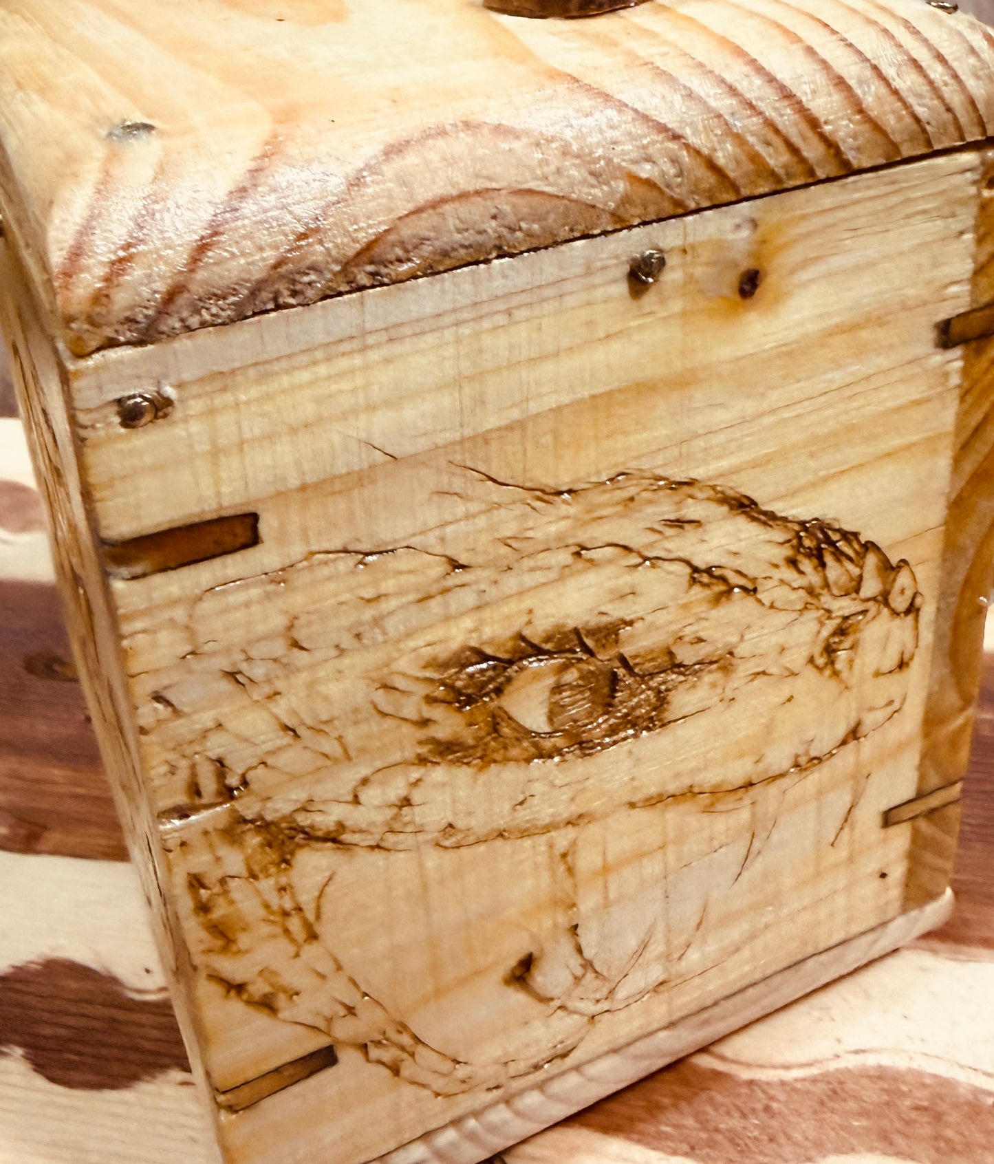 🐍 The Serpent’s Secret Box 🐍