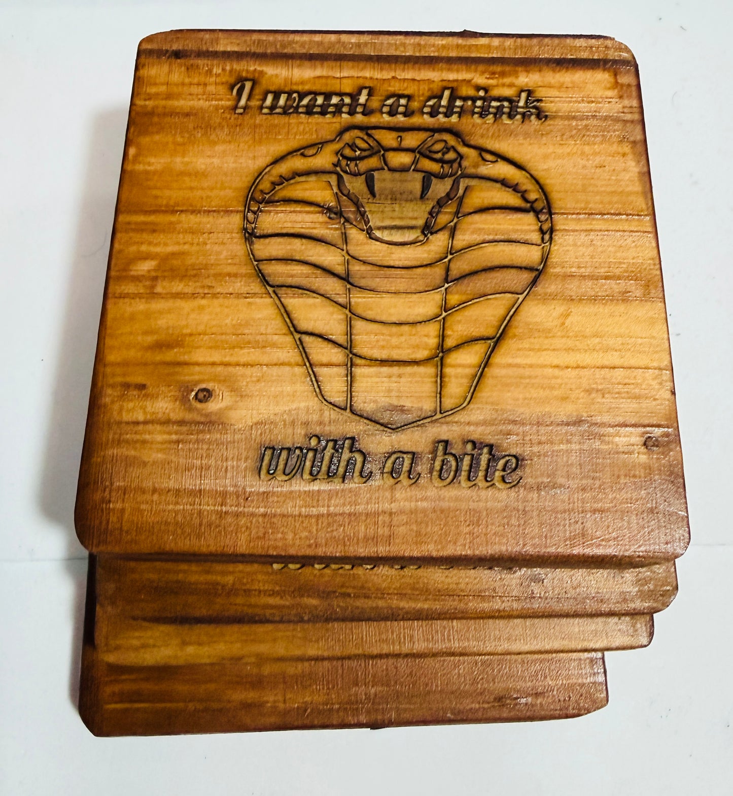 š āI Want a Drink⦠With a Biteā Snake Coasters (Set of 4)