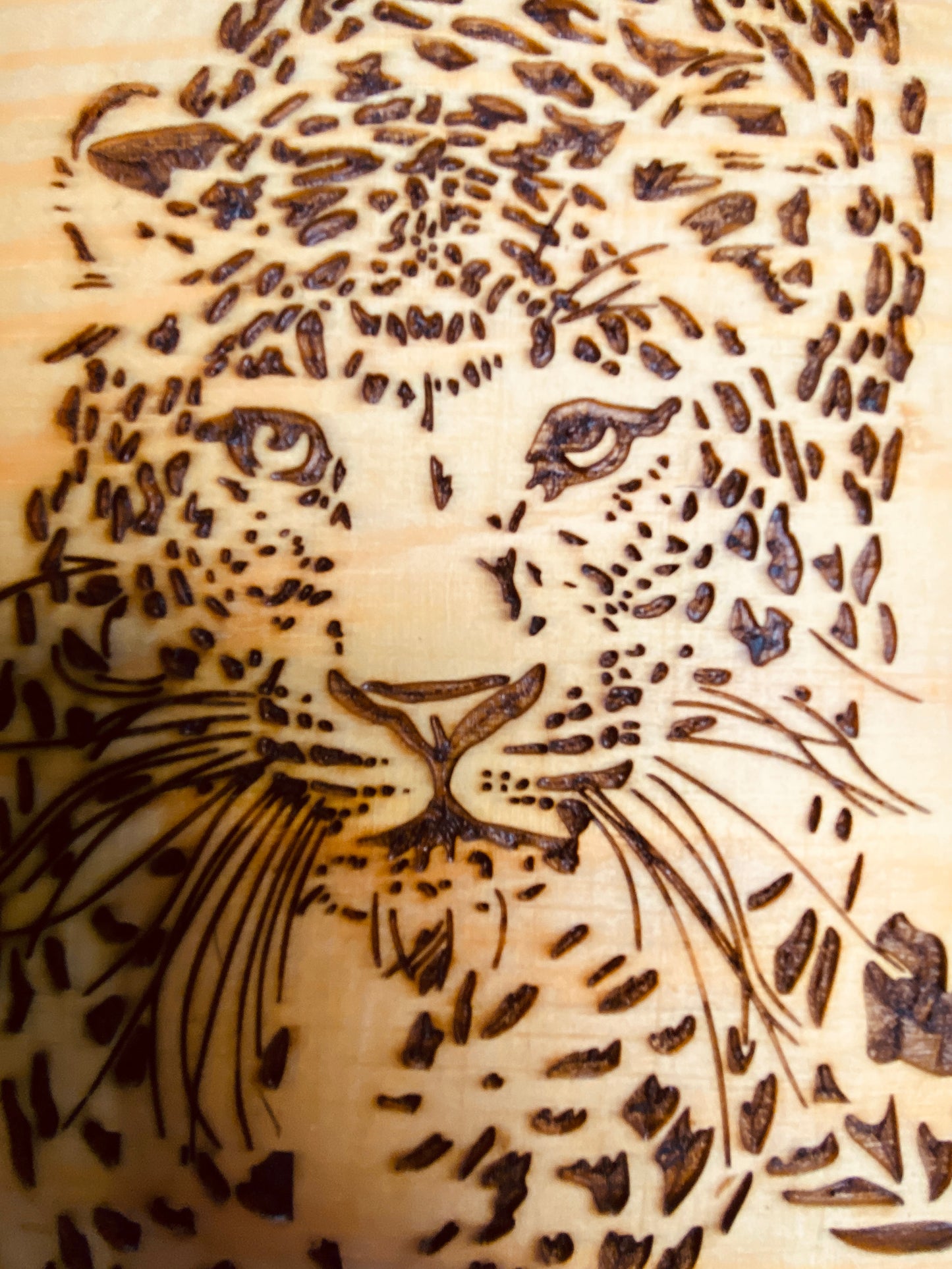 leopard Just the spots Wall Art
