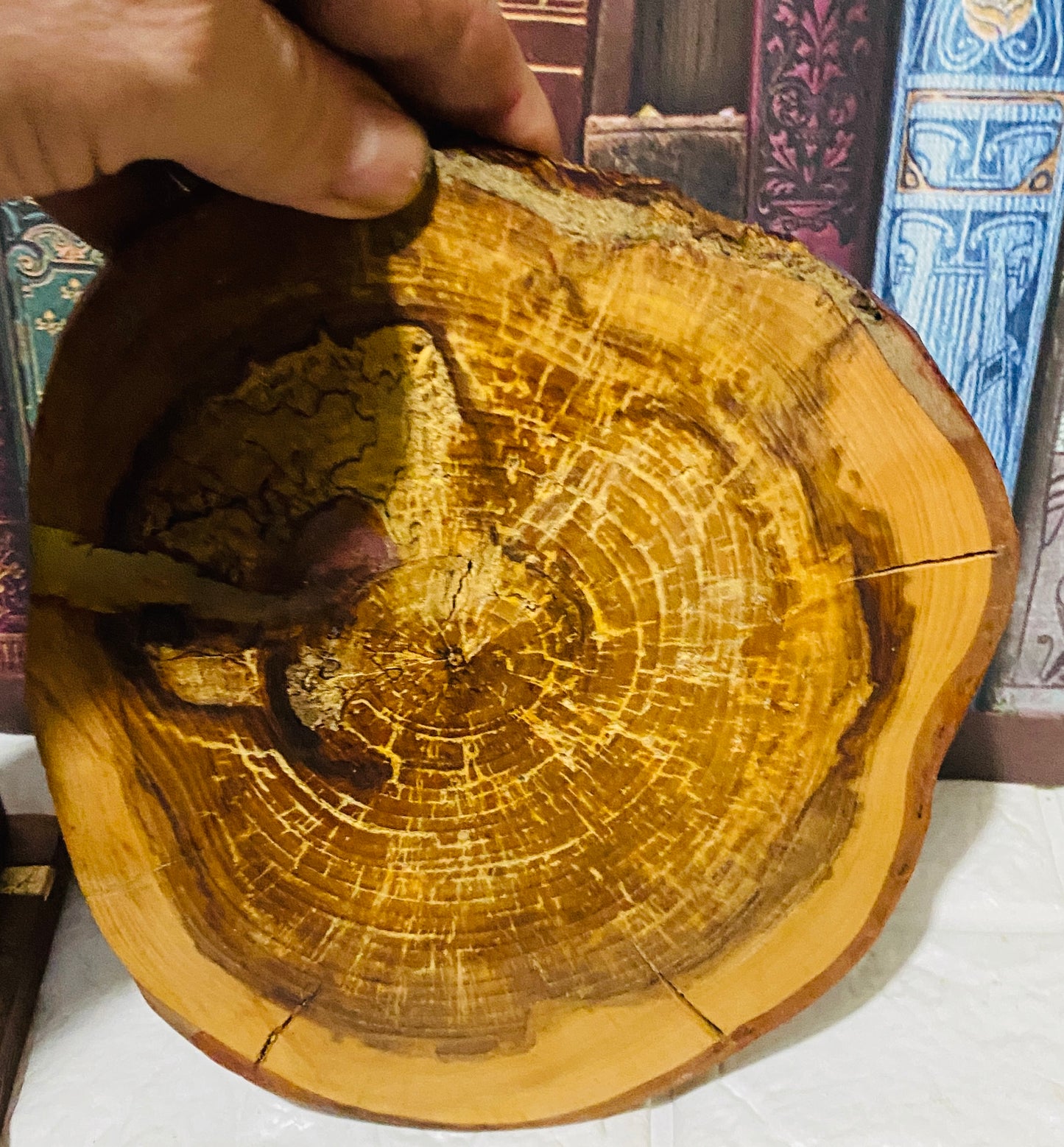 Laser engraved Horse head on tree slice