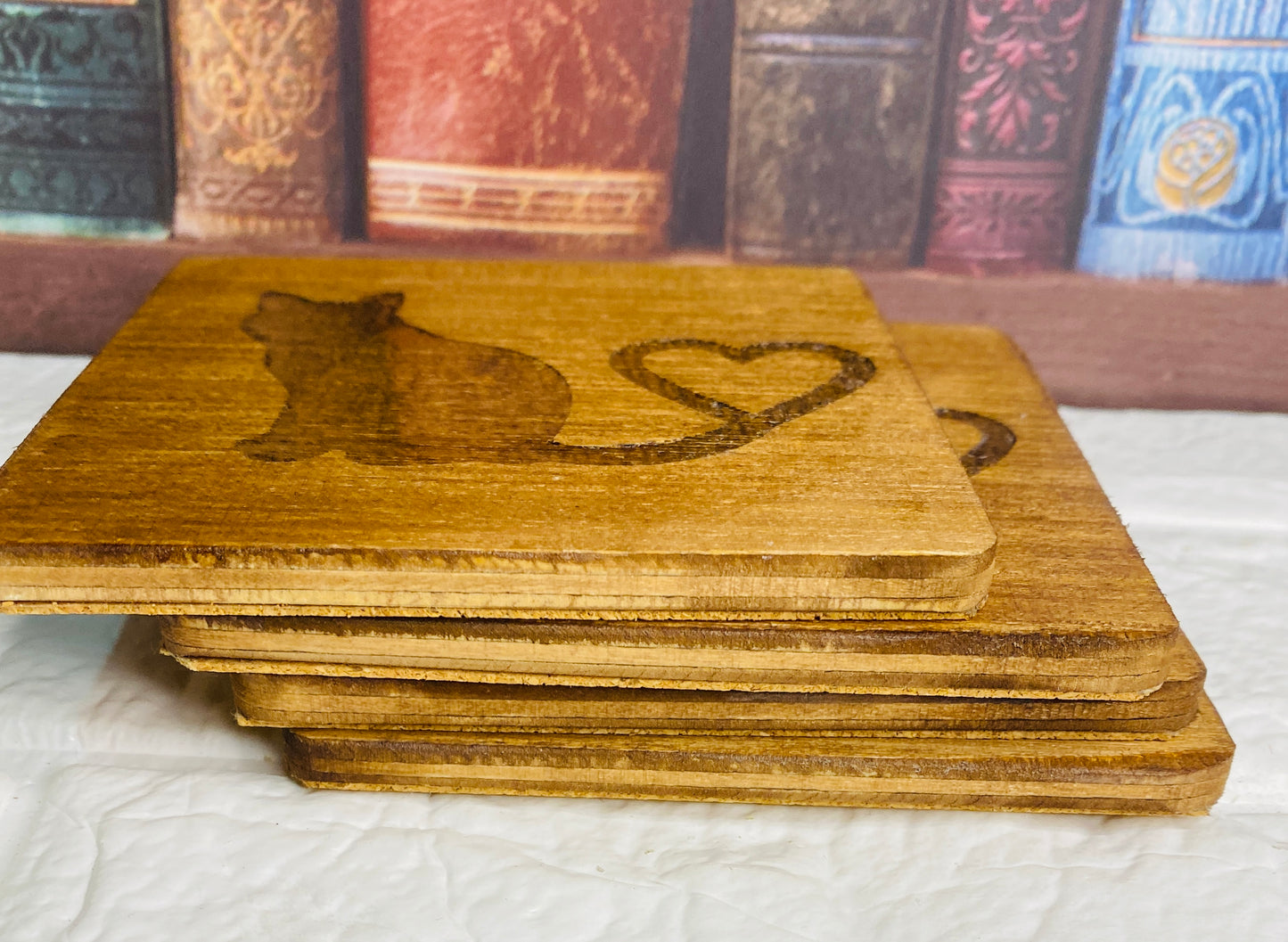 Cat Lover Coasters x 4