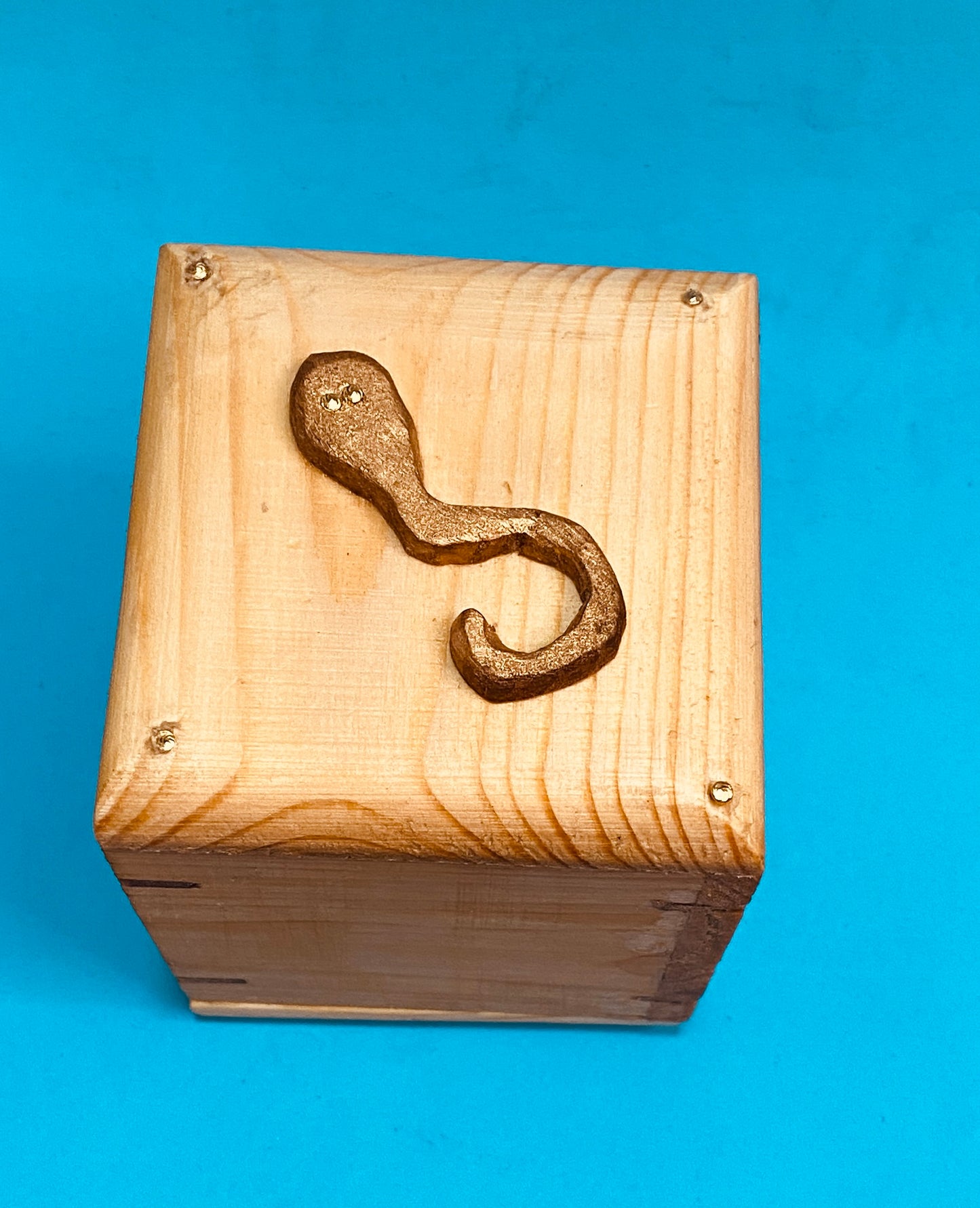 Trinket Snake Box