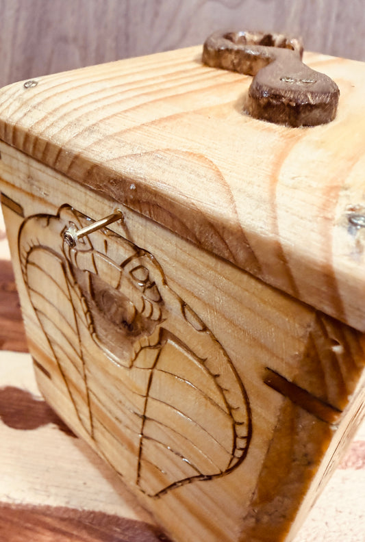 🐍 The Serpent’s Secret Box 🐍
