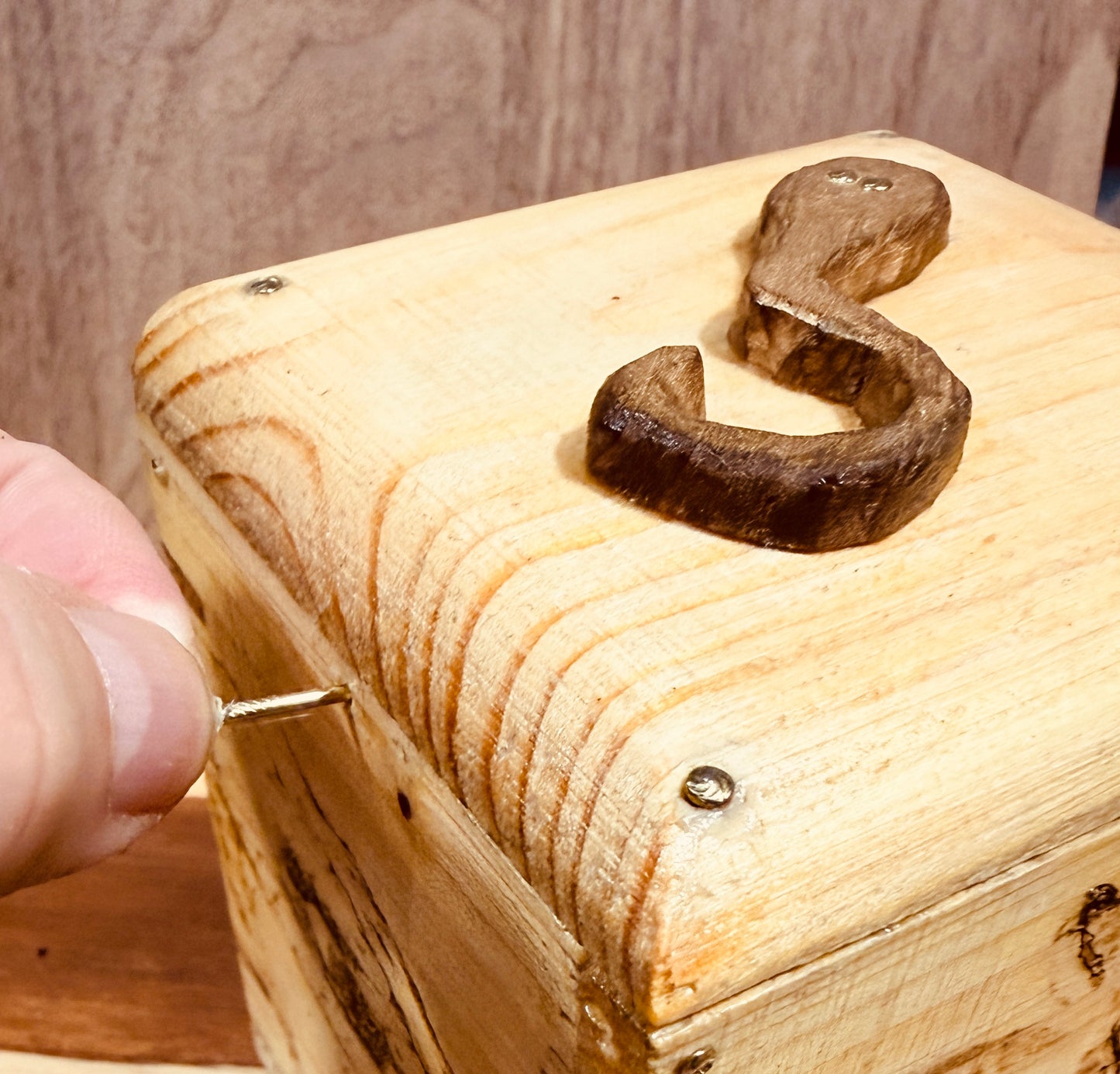🐍 The Serpent’s Secret Box 🐍